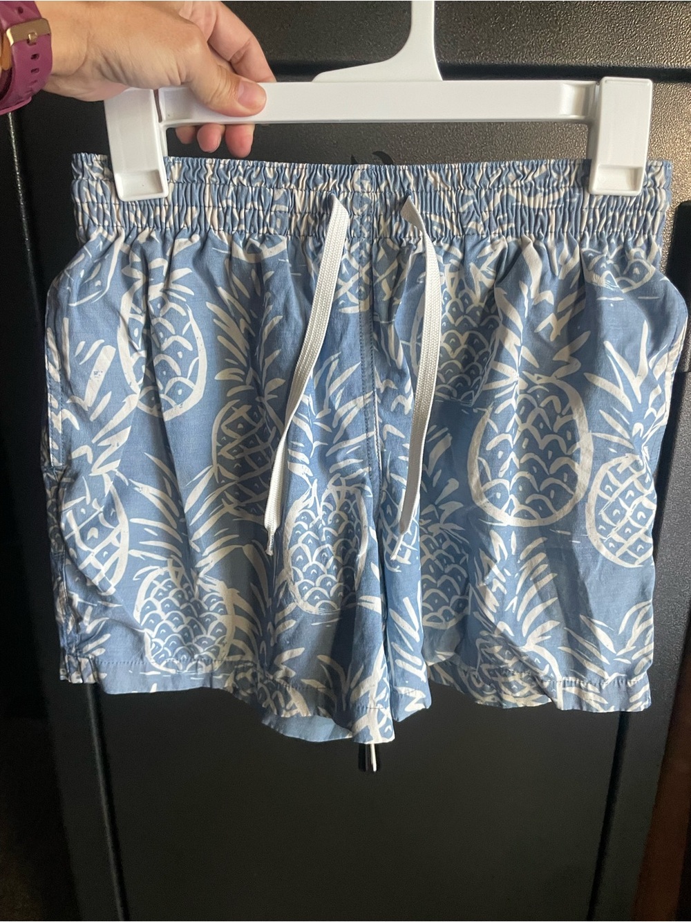 chubbies Light Blue Pineapple Print Drawstring Shorts 5.5”